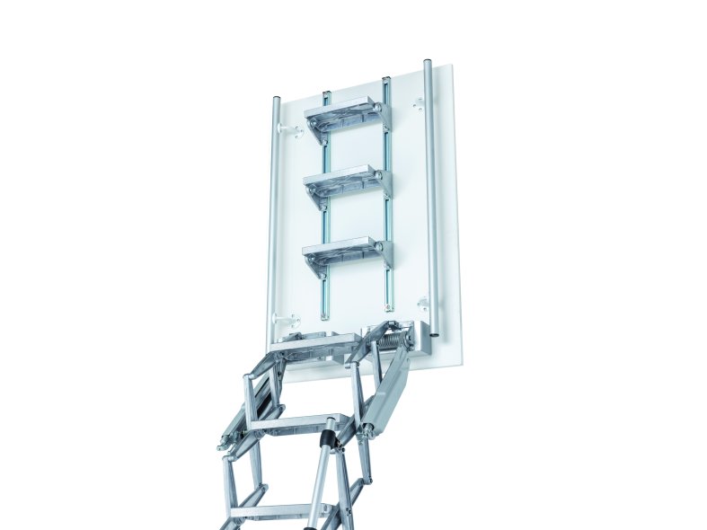 The Elite ladder with a special backboard